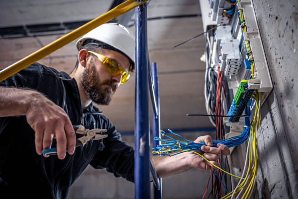 Best Electric Panel Repair  in Bunker Hl, IL